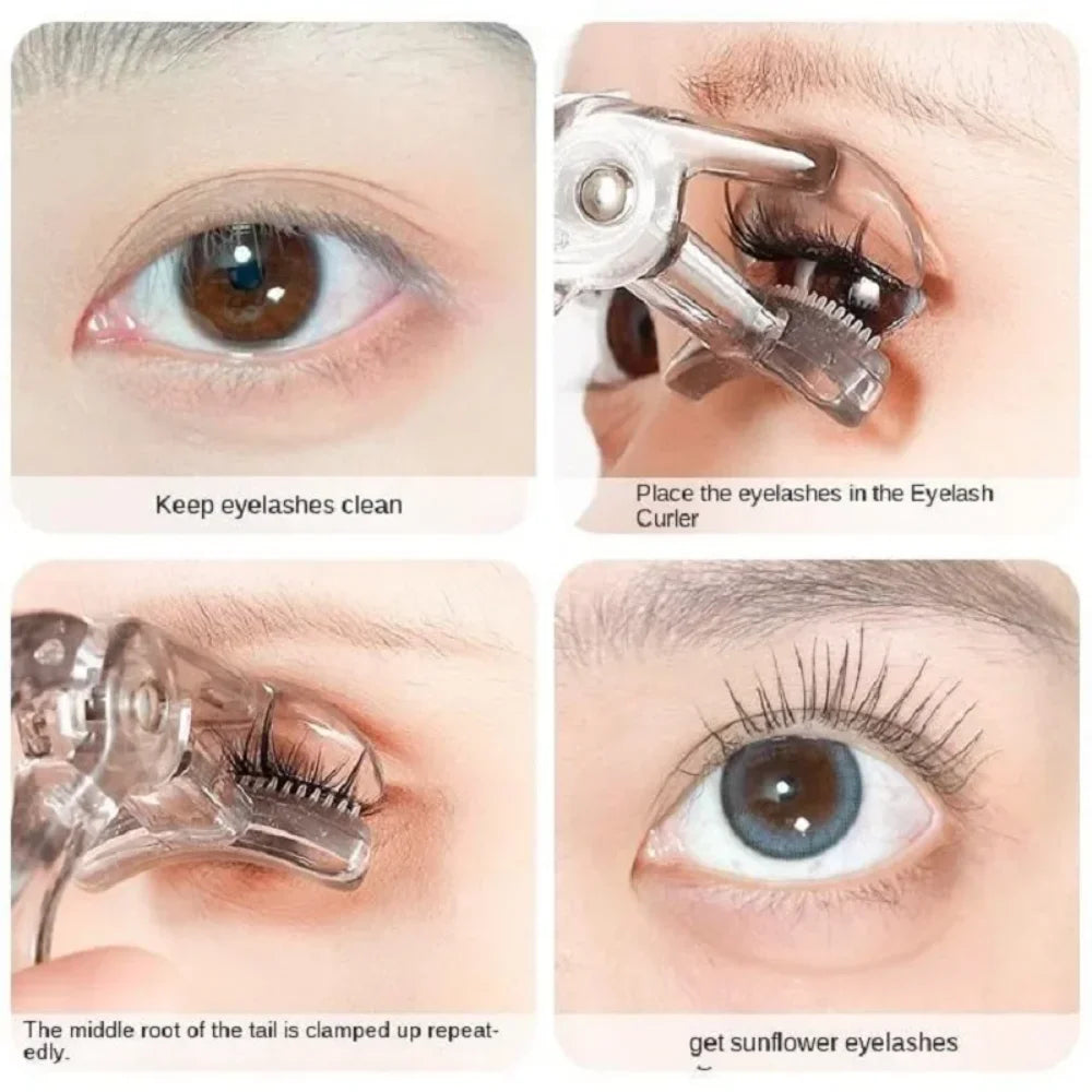 Eye