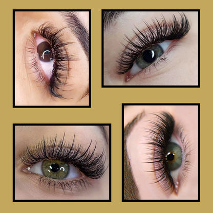 CoMango Premium 5D Flower Fairy Flora Lashes Premade Fans Individual Lashes Extension Soft Natural Makeup Wholesale Supplier