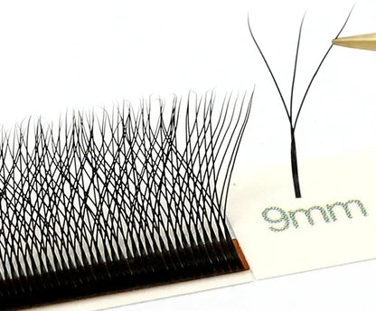 MARIA 3D W Shaped Soft Lash Extension Supplies 0.07 Eyelashes Wholesale Natural Makeup Easy Fan Y Clusters Private Label